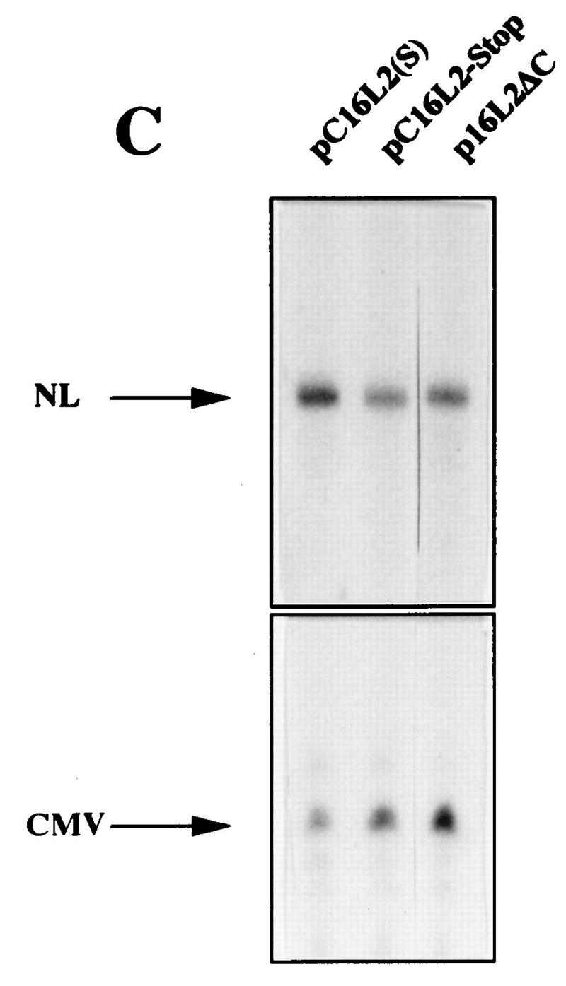 FIG. 7