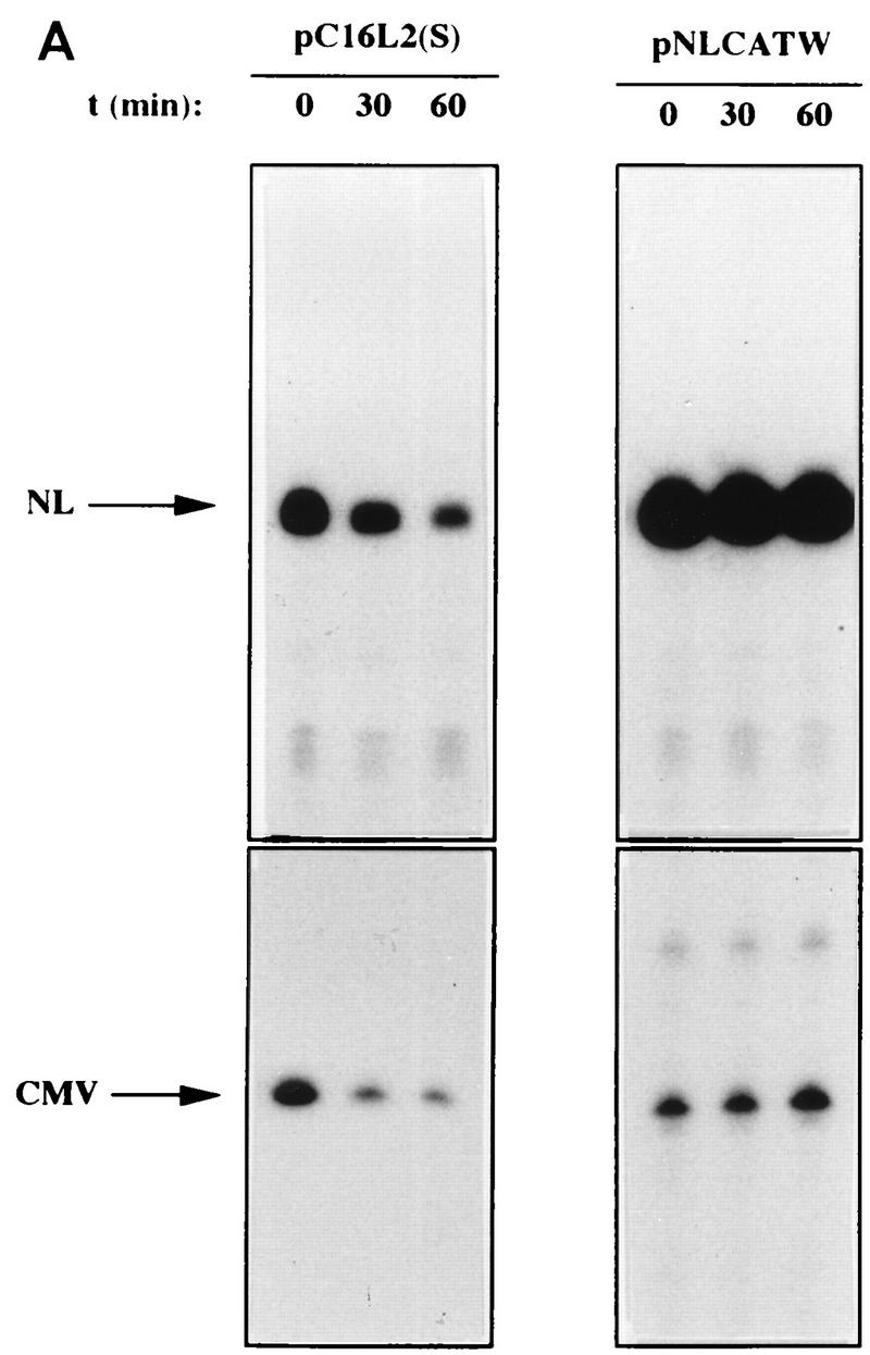 FIG. 6