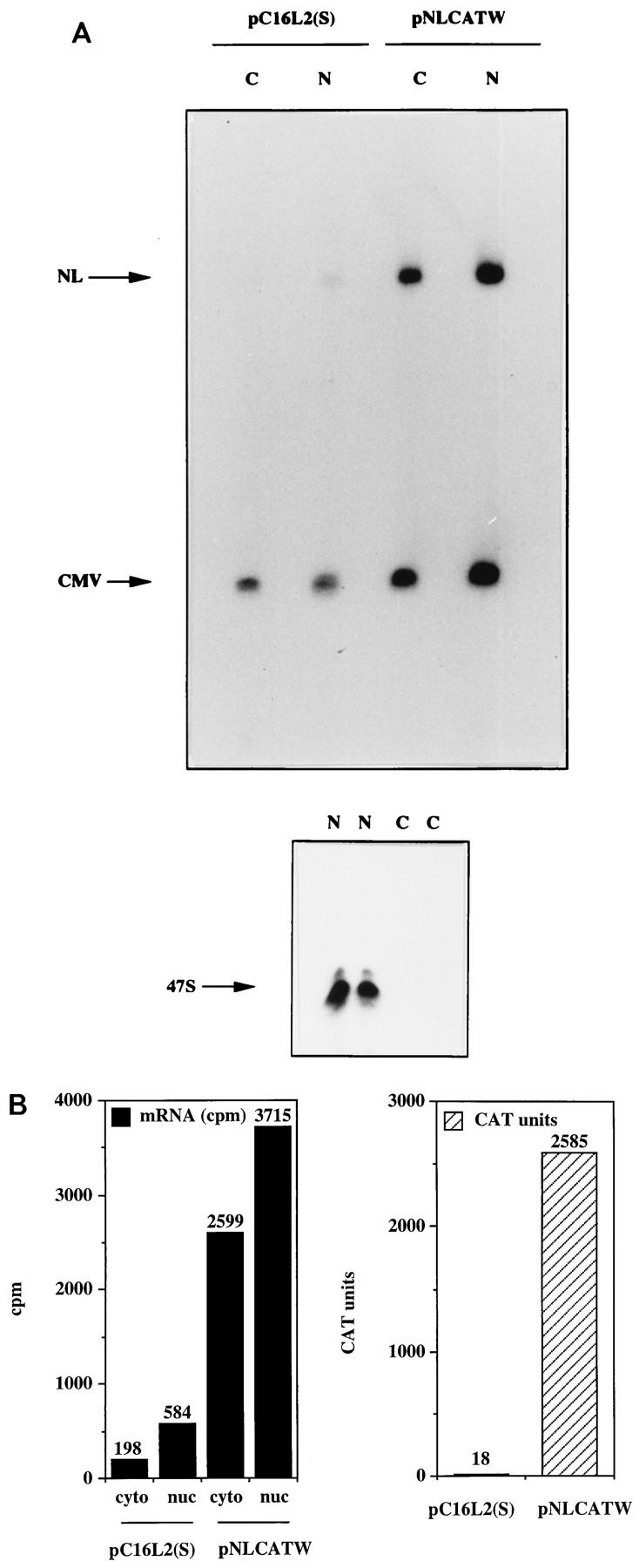 FIG. 5