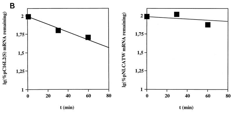 FIG. 6