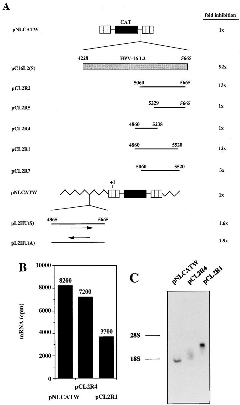 FIG. 9