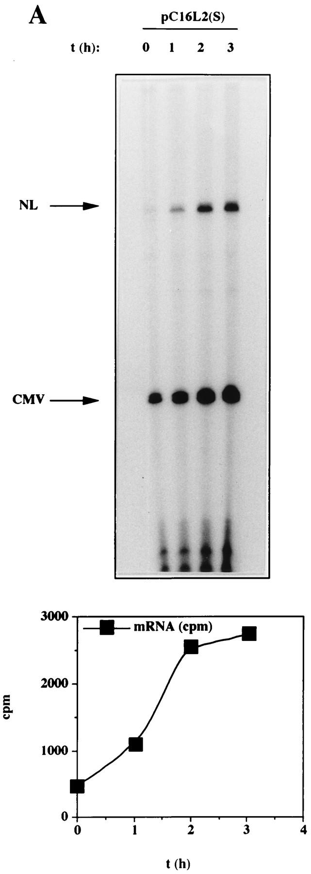 FIG. 7