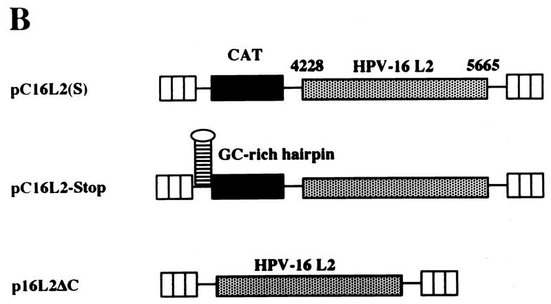 FIG. 7