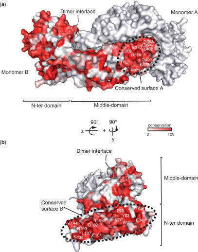 Figure 4.