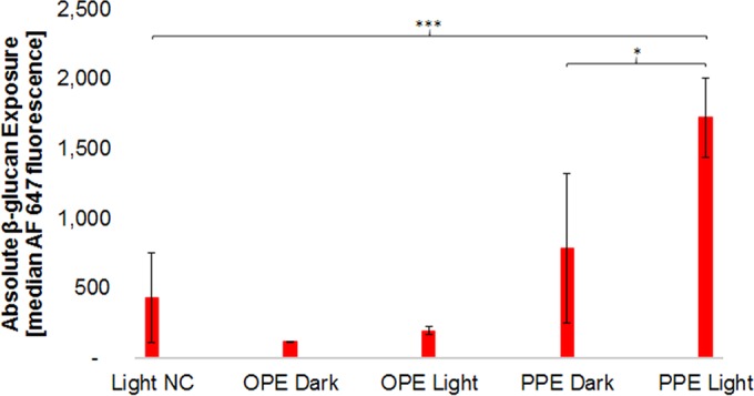 FIG 6