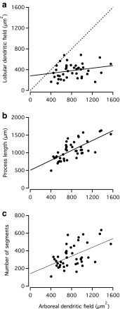 Fig. 11