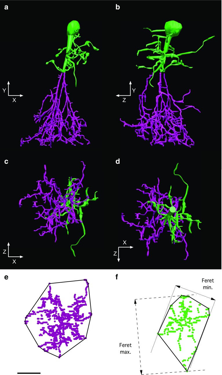 Fig. 10