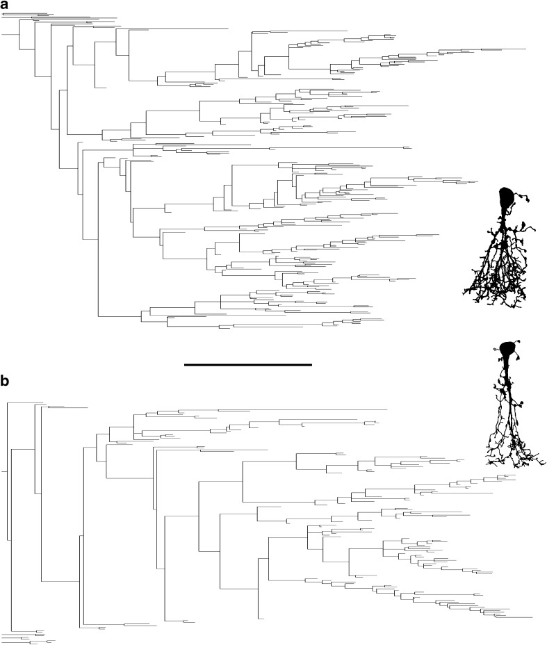 Fig. 7