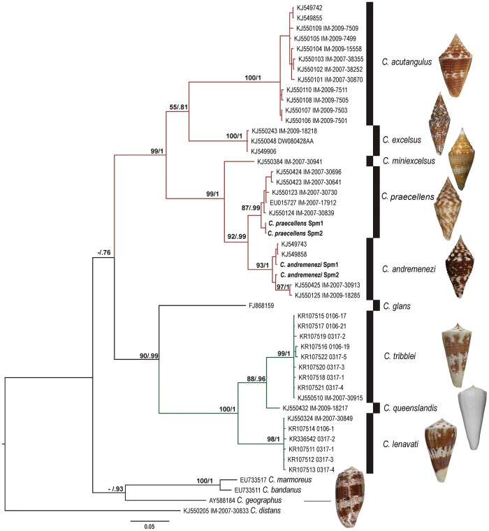 Fig. 2.