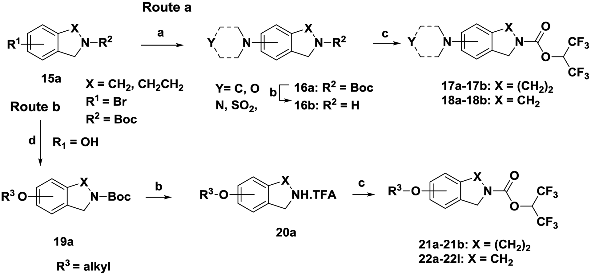 Scheme 5.