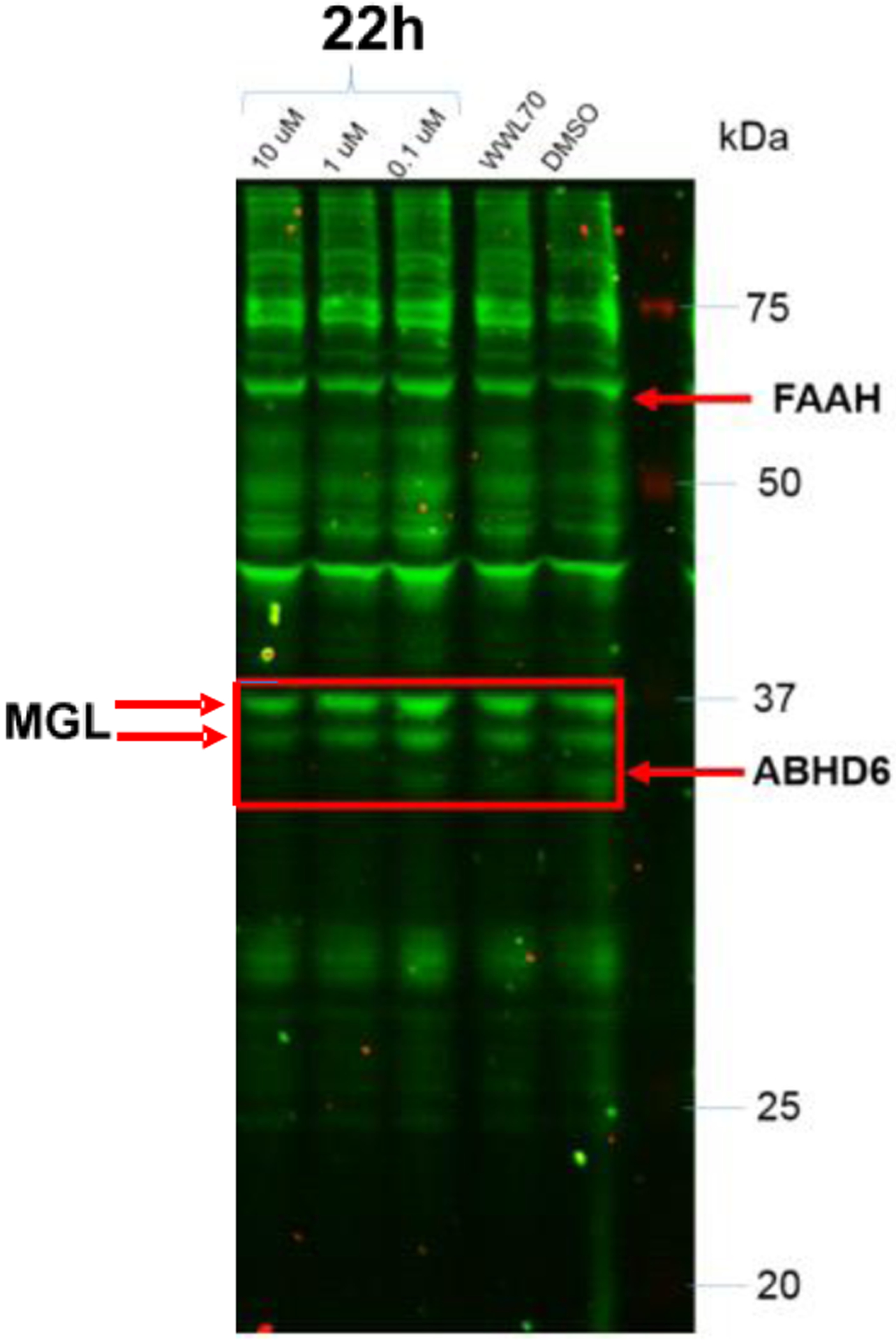 Figure 4.