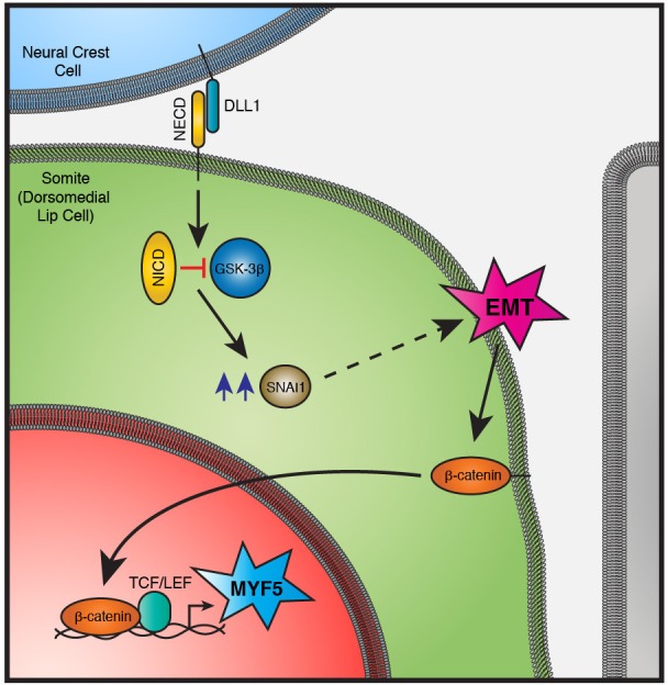 Figure 10.