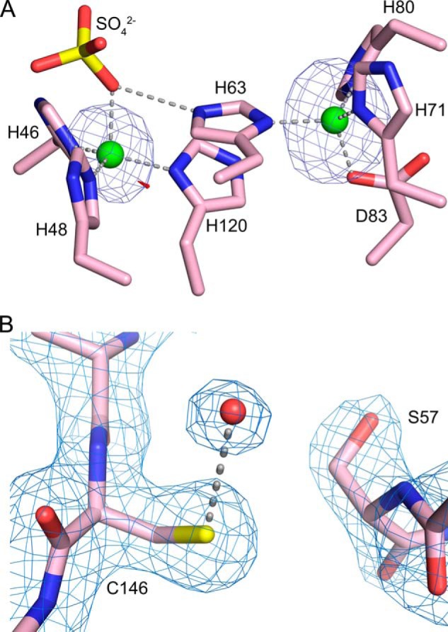 FIGURE 7.