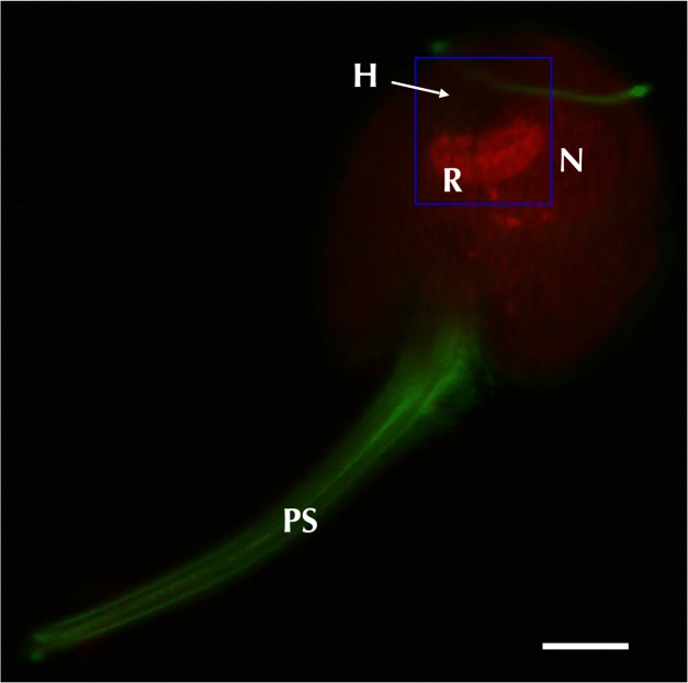 Fig 4