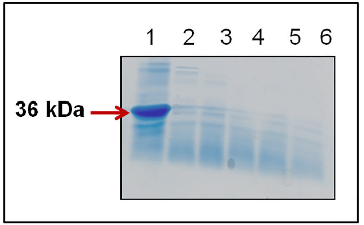 Figure 12