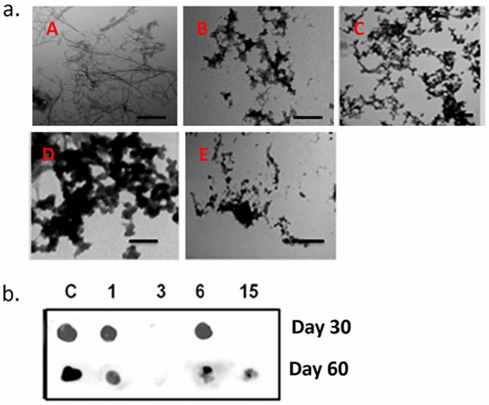 Figure 15