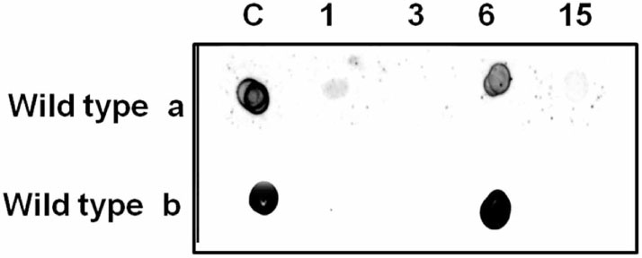 Figure 13