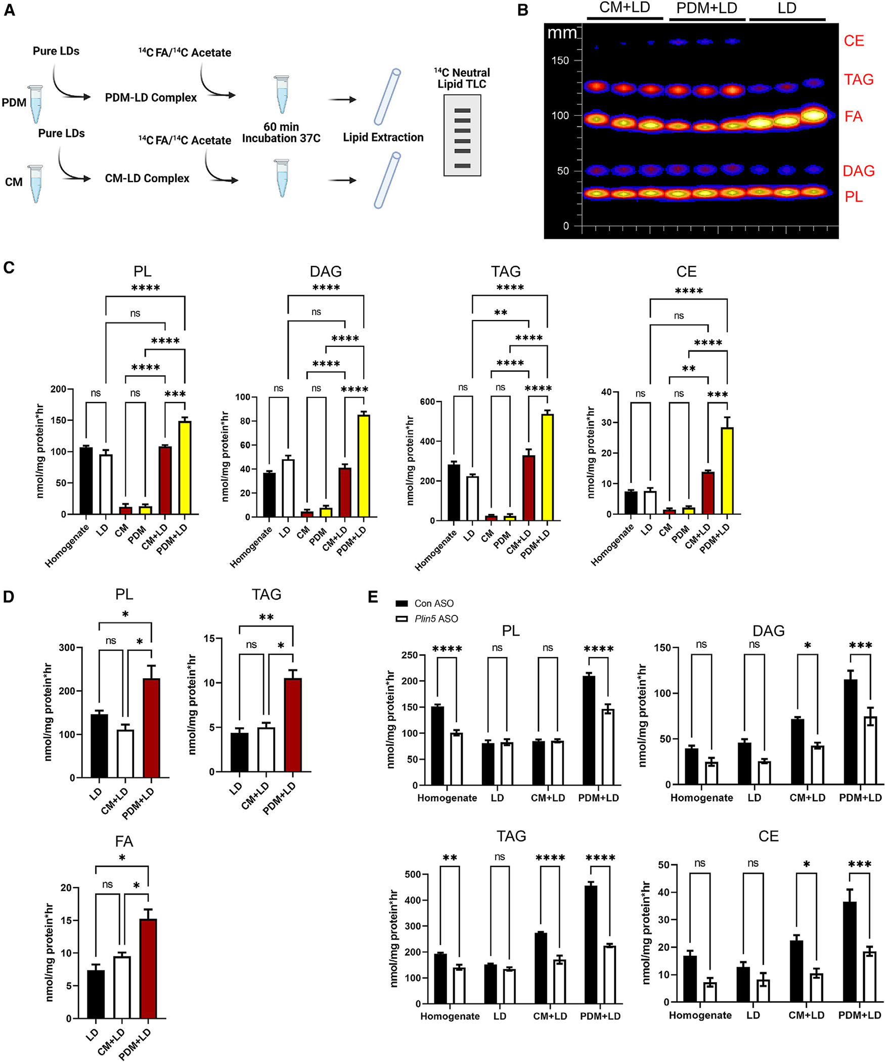 Figure 4.