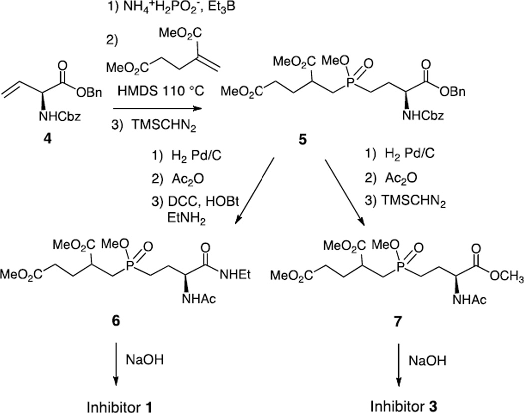 Scheme 1