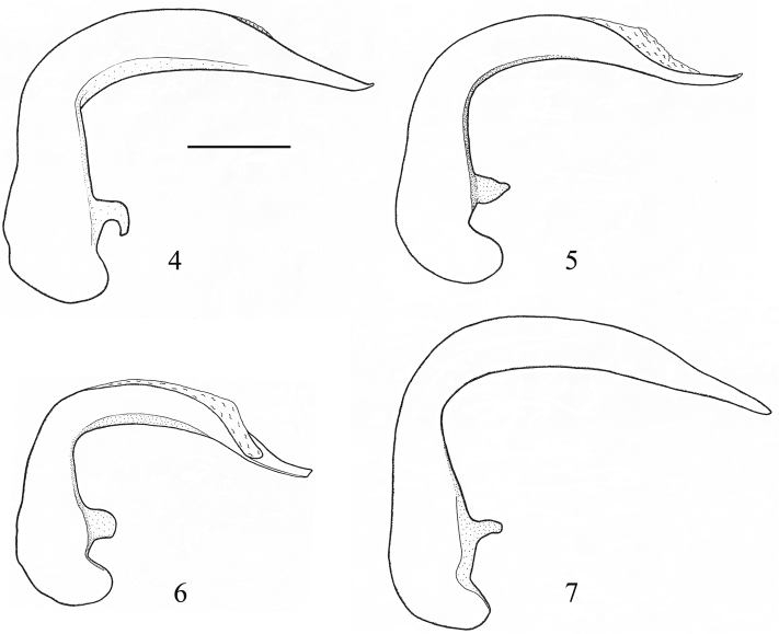 Figures 4–7.