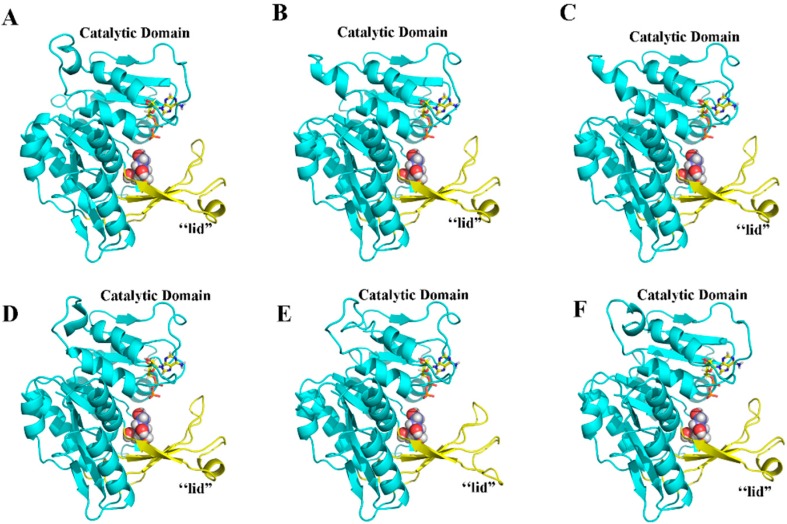 Figure 6