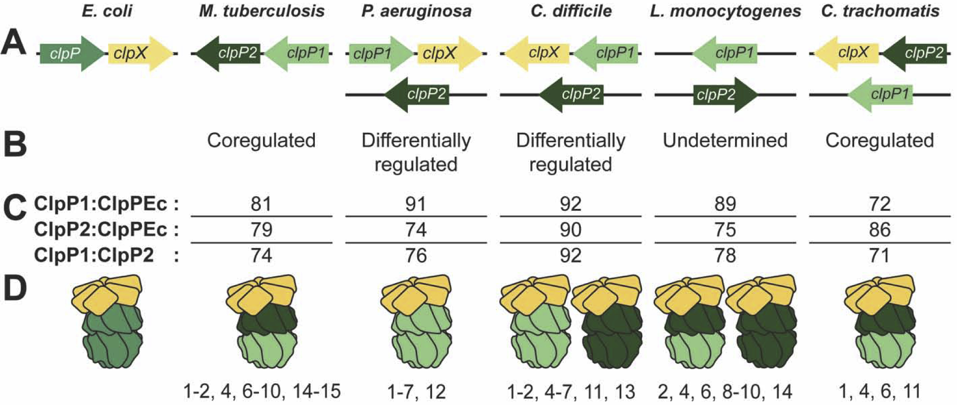 Figure 2: