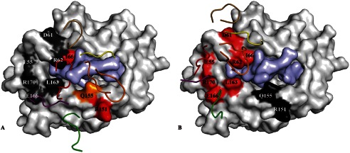 FIGURE 6.