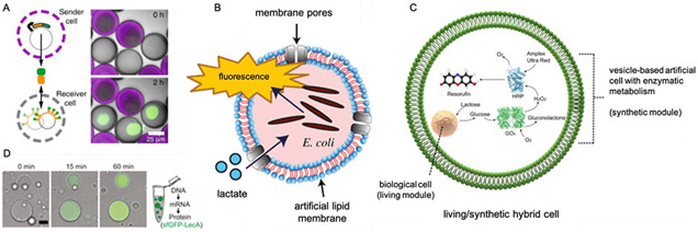 Figure 2: