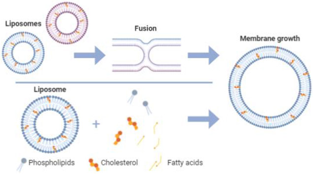 Figure 1: