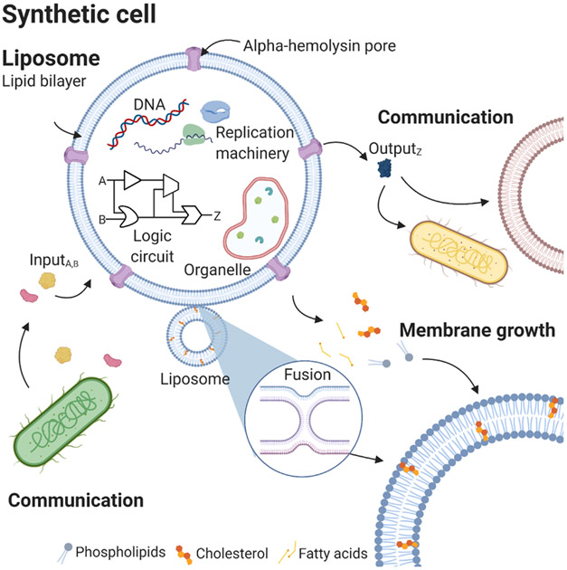 Figure 3: