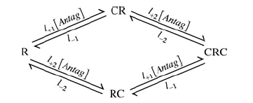 Scheme II