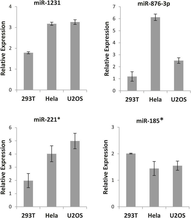 Figure 3—figure supplement 1.