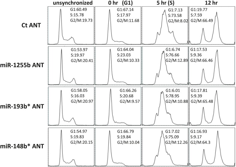 Figure 5—figure supplement 1.