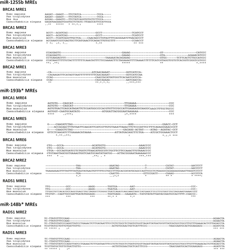 Figure 4—figure supplement 1.