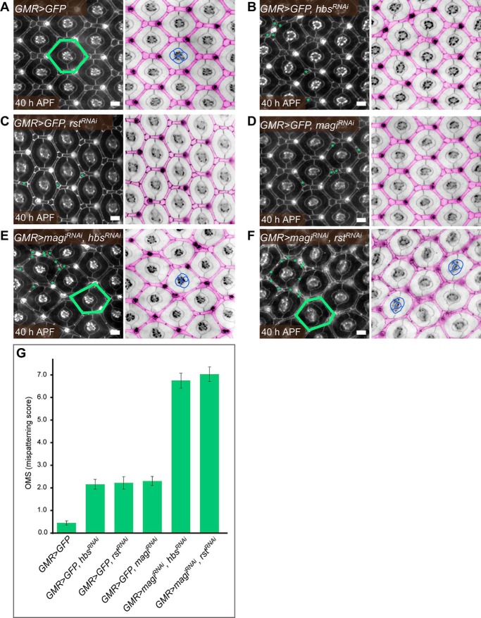 FIGURE 3.