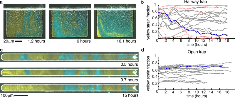 Figure 2: