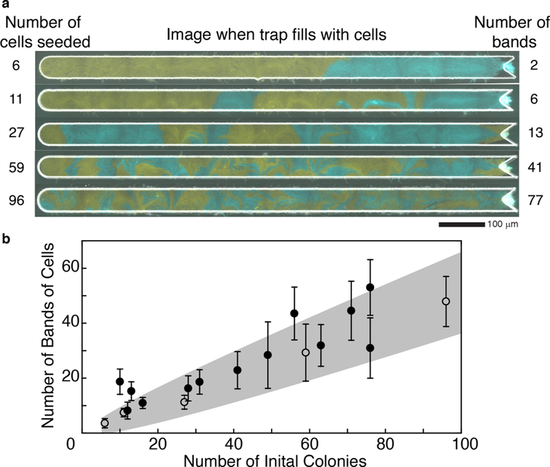 Figure 5: