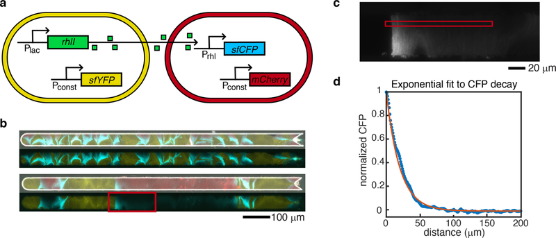 Figure 6: