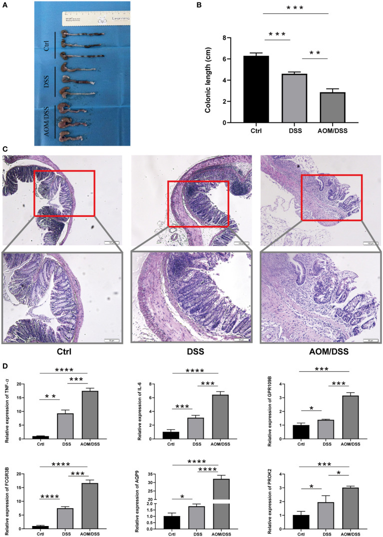 Figure 6