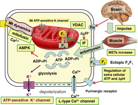 Figure 10. 