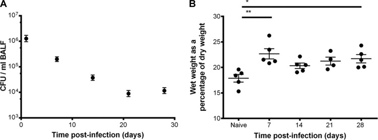 FIG 2