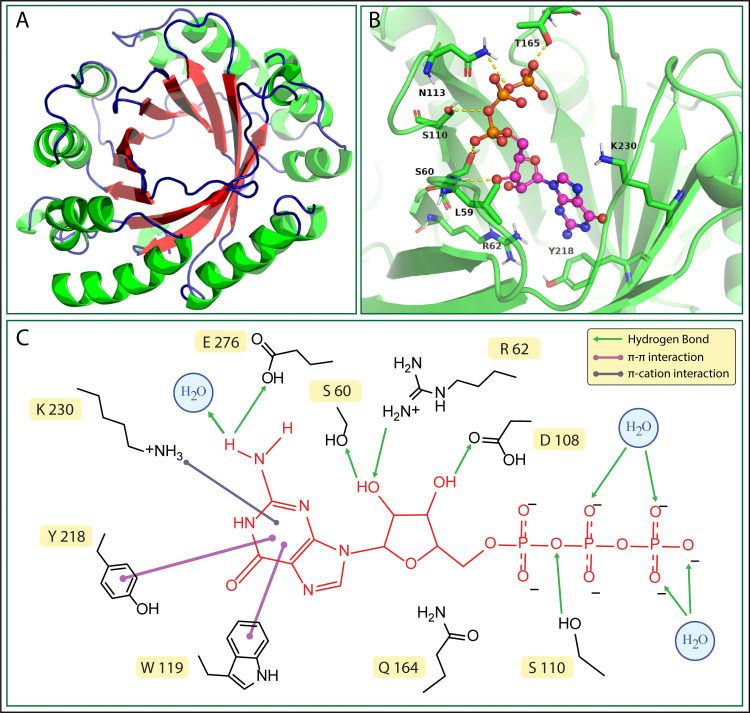 Fig 10