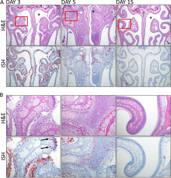 FIG 3