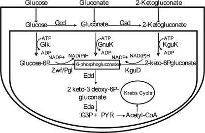 FIGURE 1.