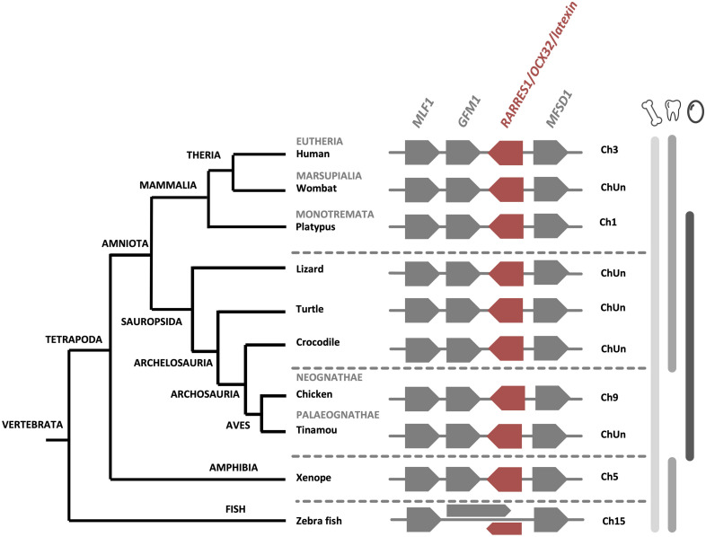 FIGURE 4