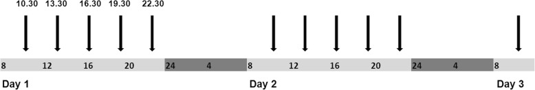 Fig. 2