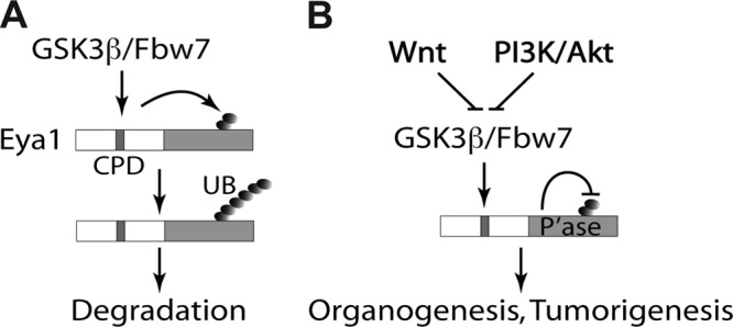 FIG 8