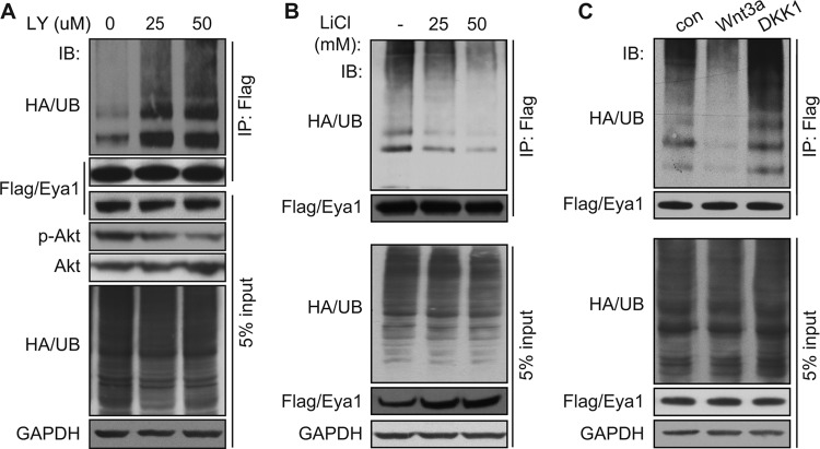 FIG 6