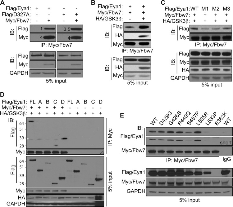 FIG 4