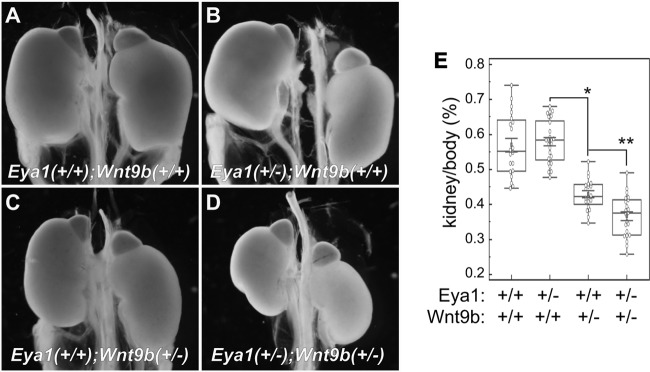 FIG 7